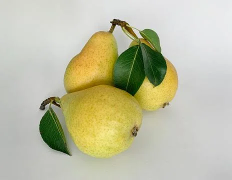 Ripe pears Stock Photos