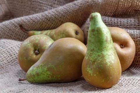 Ripe pears on sacking Stock Photos