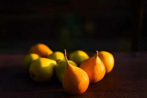 Ripe pears at the sun Stock Photos