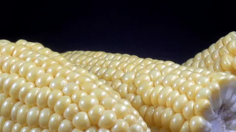 Ripe peeled corn cobs close-up Stock Footage 154464764