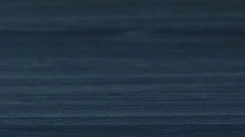 Ripe persimmon 스톡 동영상 83264005