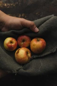 Ripe persimmon on rustic background Stock Photos