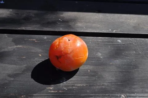 Ripe persimmons 스톡 사진