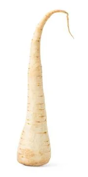 Ripe persley root Stock Photos