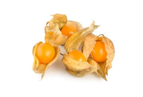 Ripe physalis Stock Photos