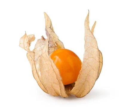 Ripe physalis Stock Photos