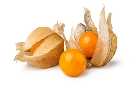 Ripe physalis Stock Photos