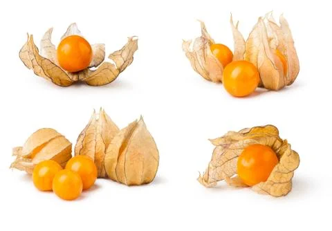 Ripe physalis Stock Photos