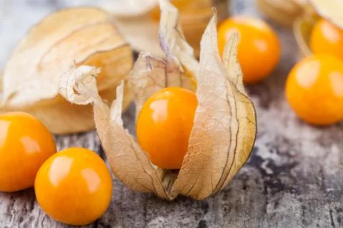 Ripe physalis Stock Photos