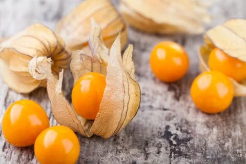 Ripe physalis Stock-Fotos