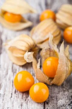 Ripe physalis Stock Photos