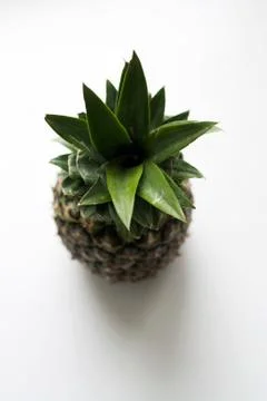 Ripe pineapple from above Stock Photos