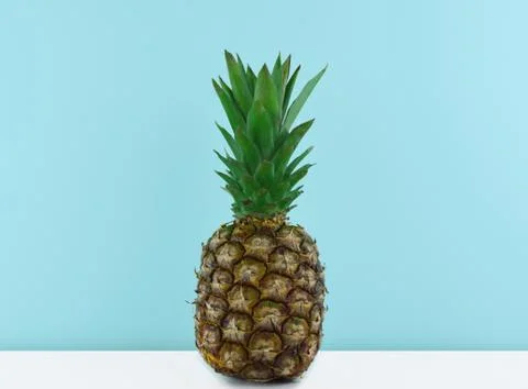 Ripe pineapple on a blue background. Stock Photos