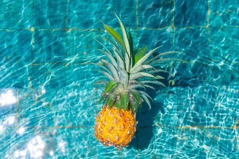 Ripe pineapple floats in a pool of refreshing water. Stock Photos