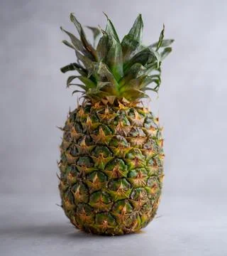 Ripe pineapple on a gray background. Stock Photos