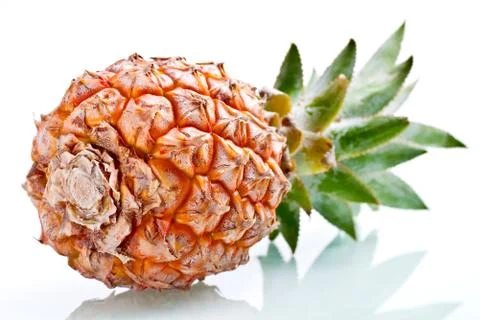 Ripe pineapple isolated Stock Photos