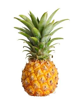 Ripe pineapple isolated Stock Photos