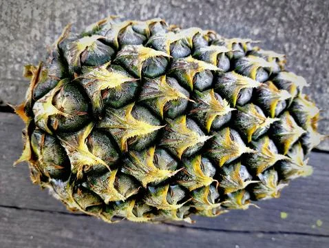 Ripe pineapple lying horizontally on the floor Stock Photos