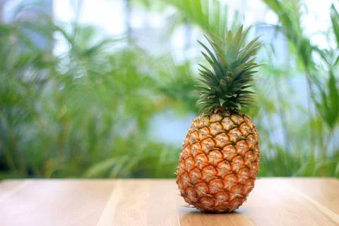 Ripe pineapple on nature leaf background Stock Photos