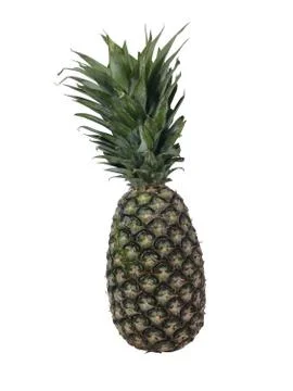 Ripe pineapple Stock Photos