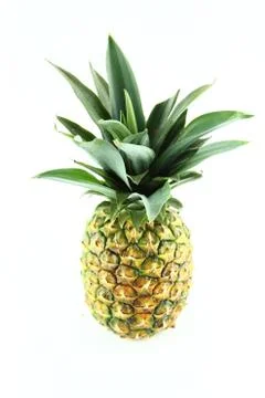 Ripe pineapple Stock Photos