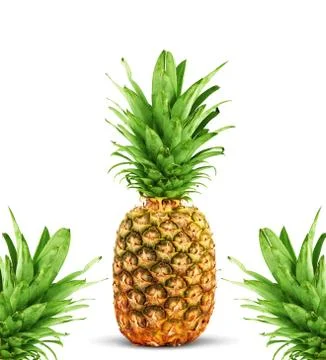 Ripe pineapple Stock Photos