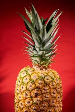 Ripe pineapple on red background. Close-up shooting Stock Photos