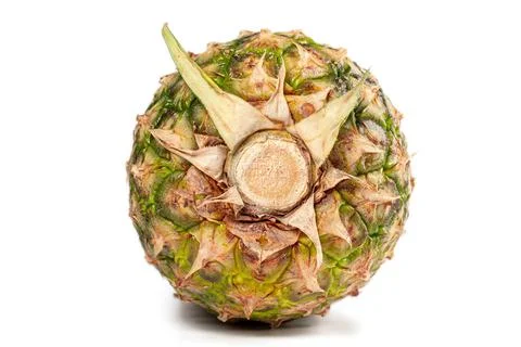 Ripe pineapple on a white background Foto stock