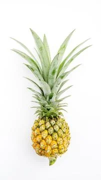 Ripe pineapple on a white background. Stock Photos