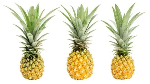 Ripe pineapple on a white background. Stock Photos