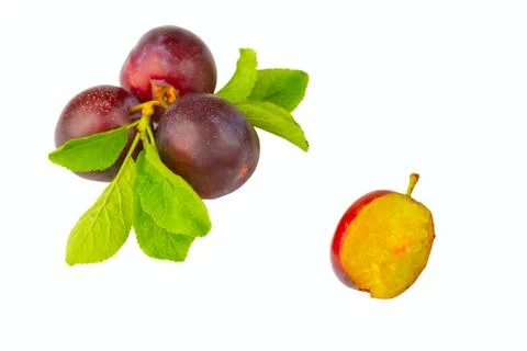 Ripe plum Stock Photos