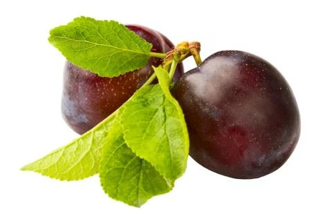 Ripe plum Stock Photos