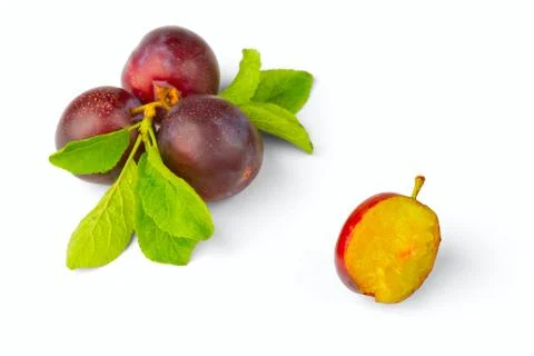 Ripe plum Stock Photos