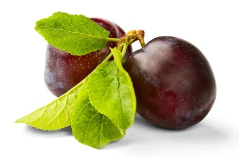 Ripe plum Stock Photos