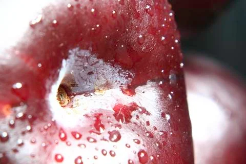 Ripe plum Stock Photos