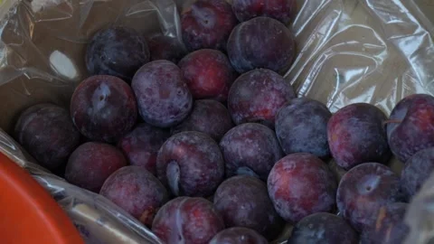 Ripe Plums in a Fruit Basket Vídeo Stock 242773101