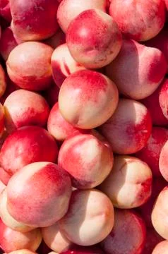 Ripe plums Stock Photos