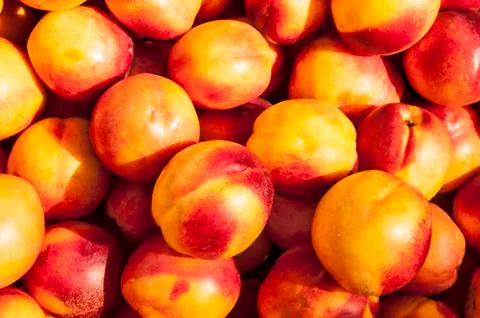 Ripe plums Stock Photos