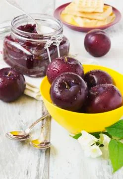 Ripe plums Stock Photos