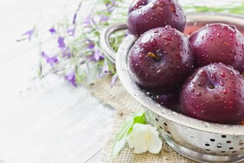 Ripe plums Stock Photos