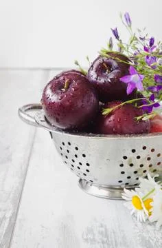 Ripe plums Stock Photos