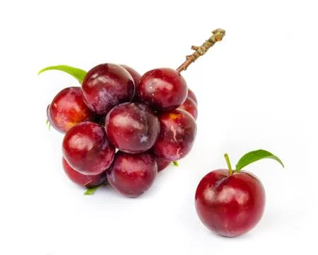 Ripe plums Stock Photos
