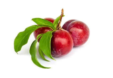 Ripe plums Stock Photos