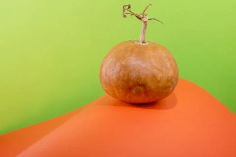 Ripe pumpkin on an abstract background made of colored paper sheets Stock Photos