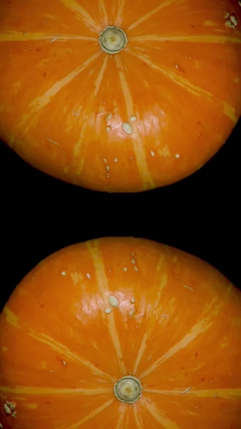 A ripe pumpkin on a black background Stock-Footage 284747128