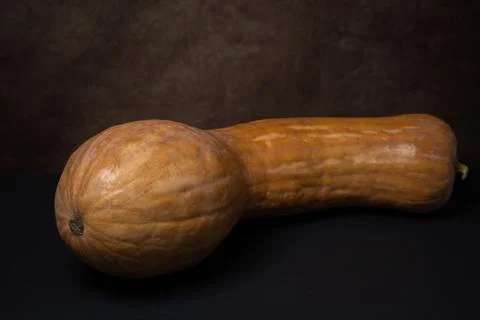 Ripe pumpkin on a black surface. Long pumpkin. Stock Photos
