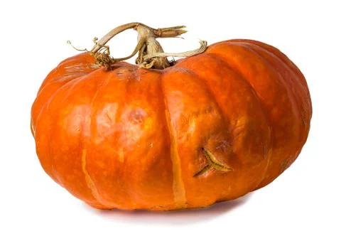 Ripe pumpkin Foto stock