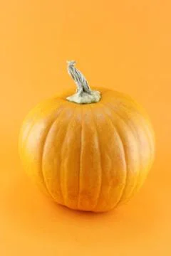 Ripe pumpkin Stock Photos