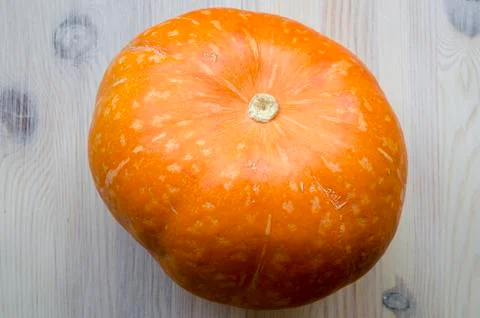 Ripe pumpkin Foto stock