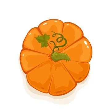 Ripe Pumpkin Top View Stock Illustration